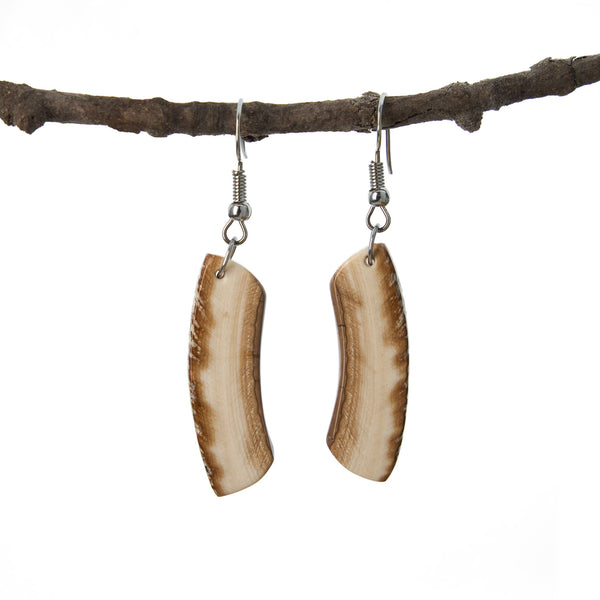 Mammoth ivory earrings